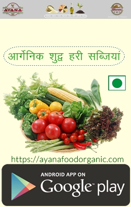 Organic Bazar